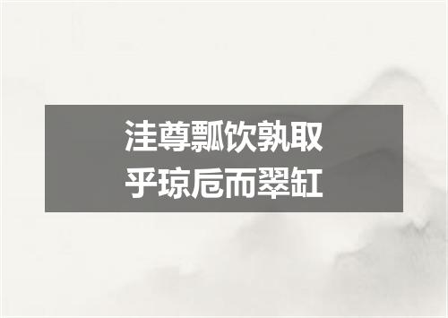 洼尊瓢饮孰取乎琼卮而翠缸