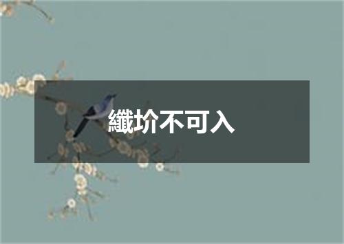 纖圿不可入