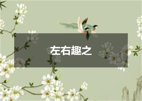 左右趣之