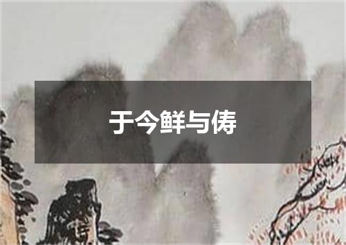 于今鲜与俦