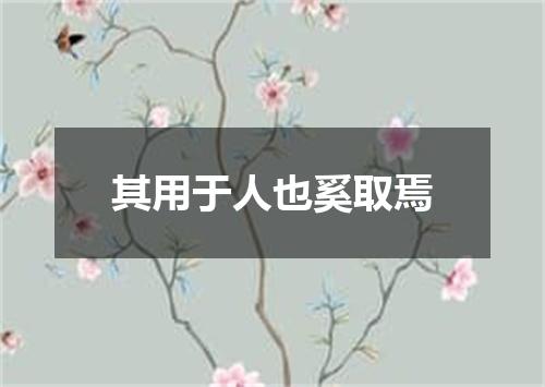 其用于人也奚取焉