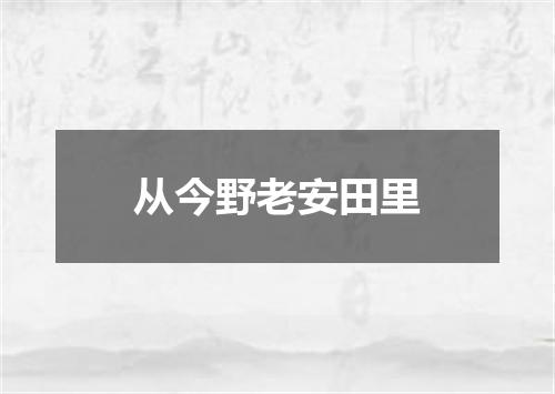 从今野老安田里