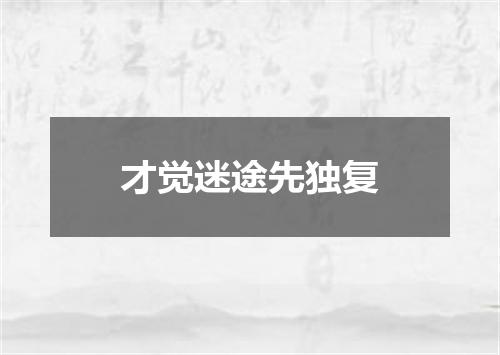 才觉迷途先独复