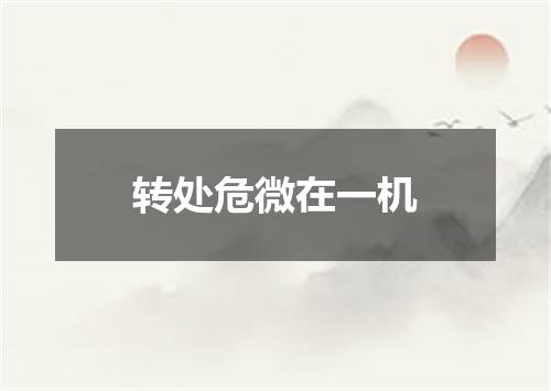 转处危微在一机