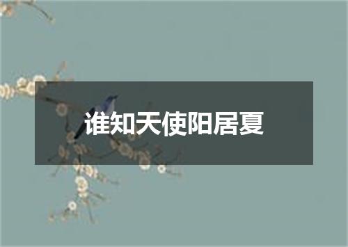 谁知天使阳居夏