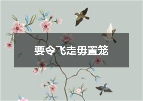 要令飞走毋置笼