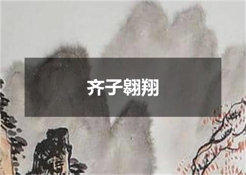齐子翱翔