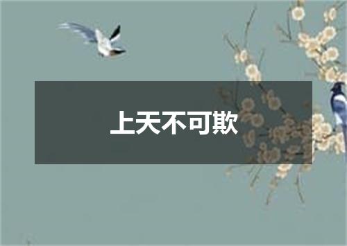 上天不可欺