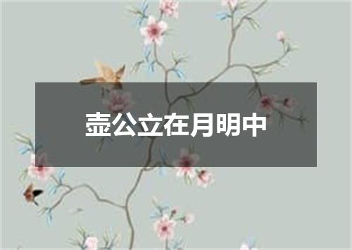 壶公立在月明中
