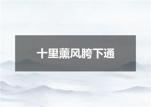 十里薰风胯下通
