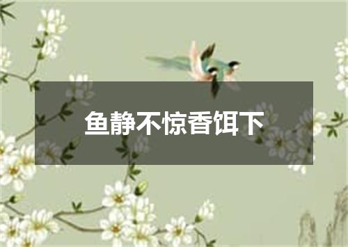 鱼静不惊香饵下