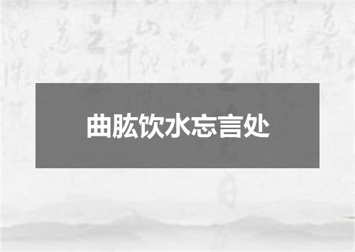曲肱饮水忘言处
