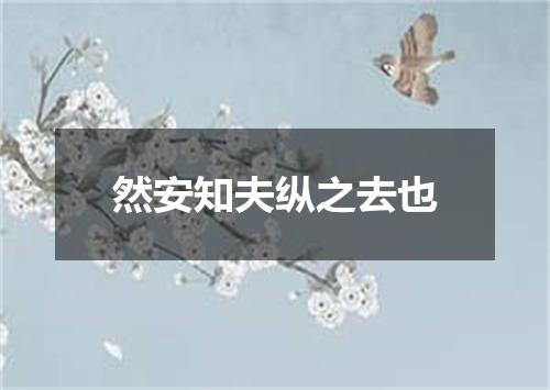然安知夫纵之去也