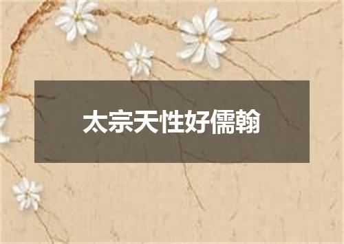 太宗天性好儒翰