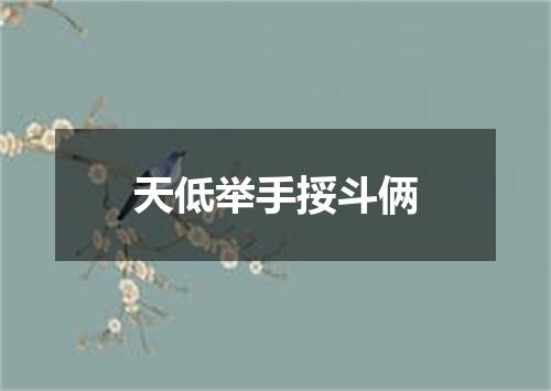 天低举手挼斗俩