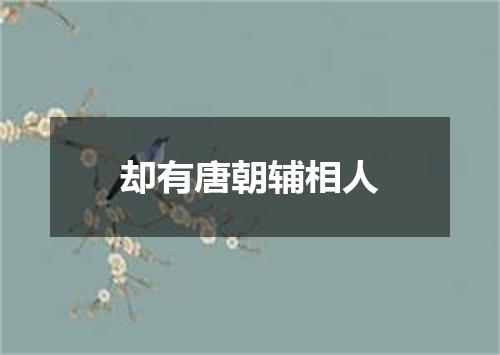 却有唐朝辅相人