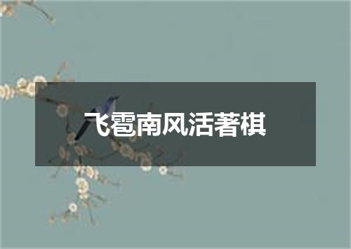 飞雹南风活著棋