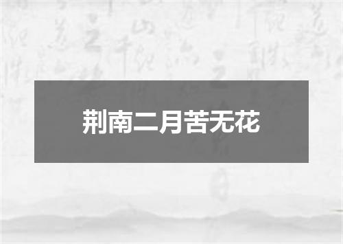 荆南二月苦无花