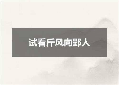 试看斤风向郢人