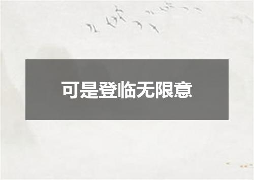 可是登临无限意