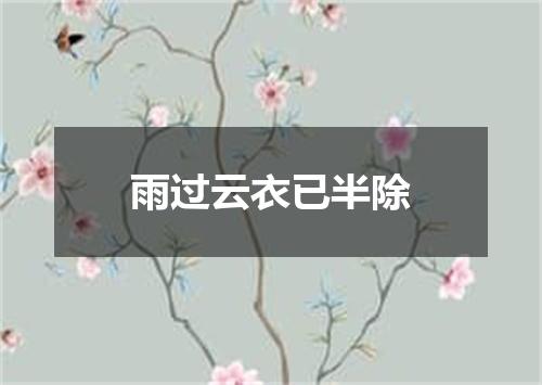 雨过云衣已半除