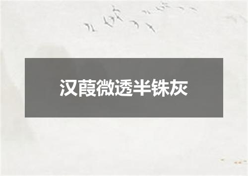 汉葭微透半铢灰