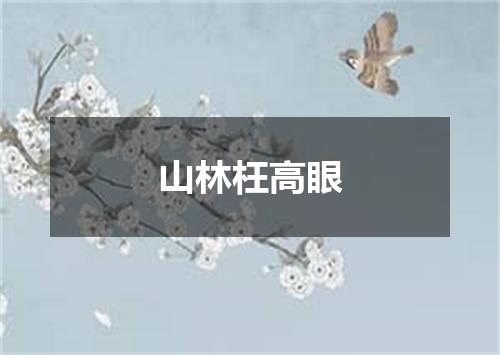 山林枉高眼