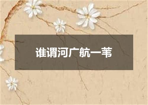 谁谓河广航一苇