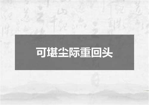可堪尘际重回头