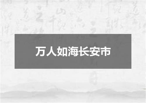 万人如海长安市