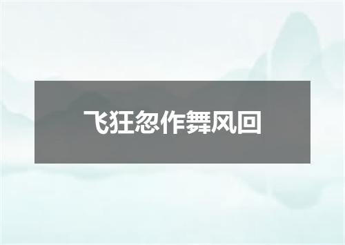 飞狂忽作舞风回