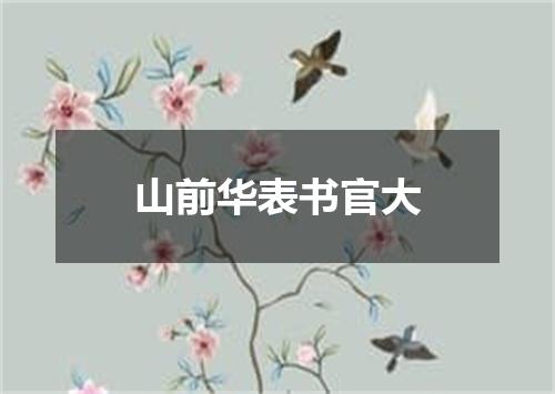 山前华表书官大