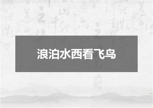 浪泊水西看飞鸟