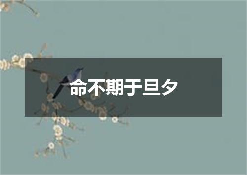 命不期于旦夕