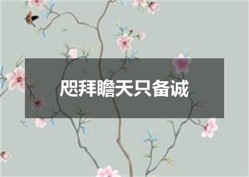 咫拜瞻天只备诚