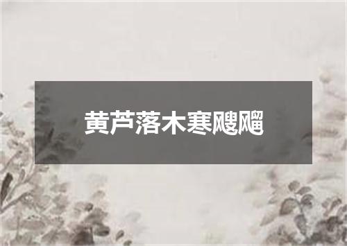 黄芦落木寒飕飗