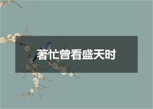著忙曾看盛天时