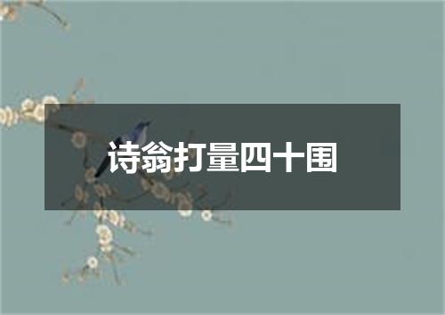 诗翁打量四十围