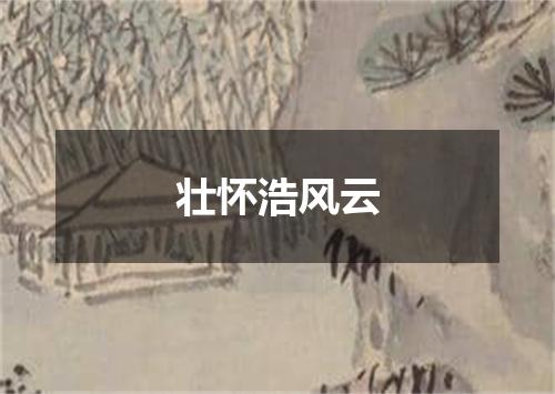 壮怀浩风云