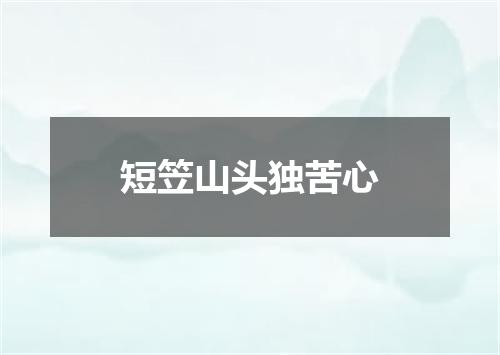 短笠山头独苦心