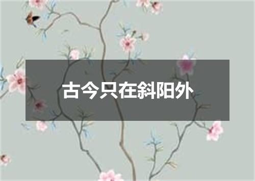 古今只在斜阳外