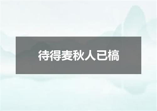 待得麦秋人已槁