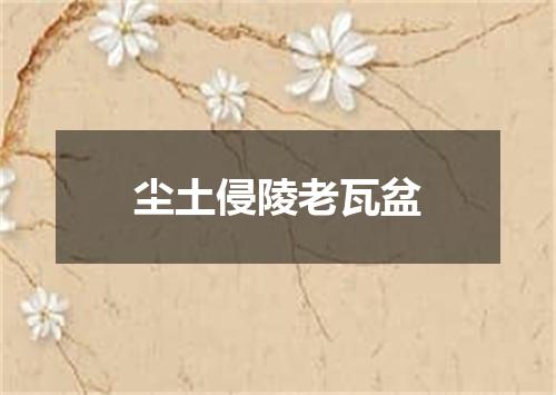 尘土侵陵老瓦盆