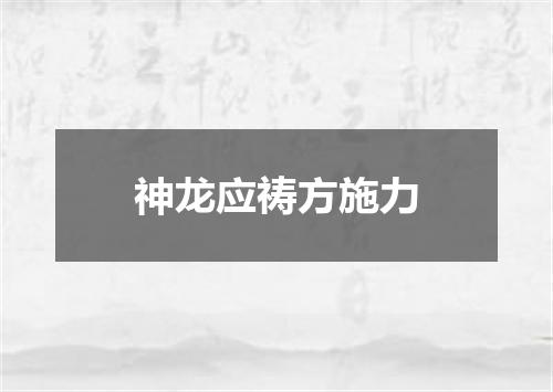 神龙应祷方施力