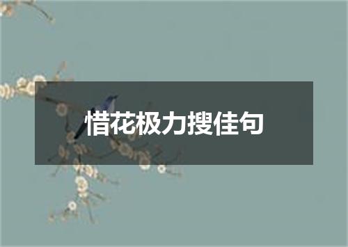 惜花极力搜佳句