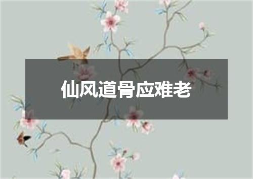 仙风道骨应难老