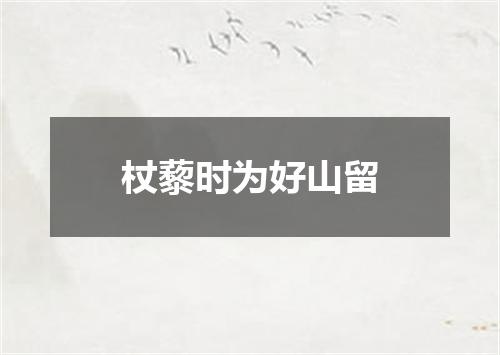杖藜时为好山留