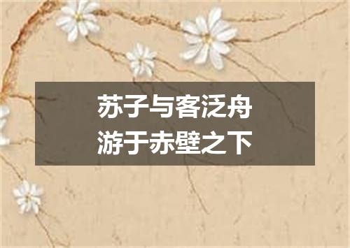 苏子与客泛舟游于赤壁之下