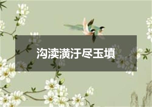 沟渎潢汙尽玉填