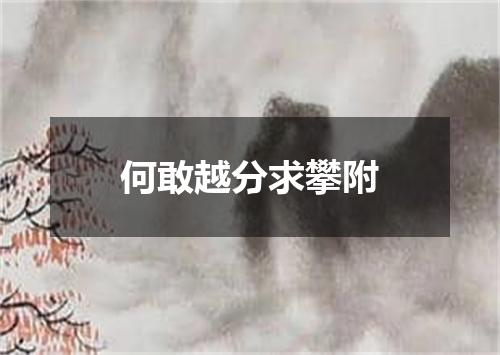 何敢越分求攀附
